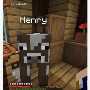 Meet your Posher, Audrey